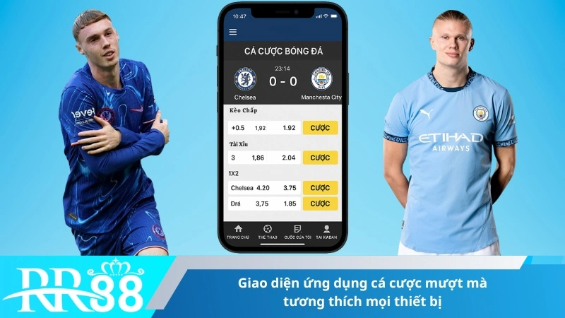 Giao diện ứng dụng cá cược mượt mà, tương thích mọi thiết bị