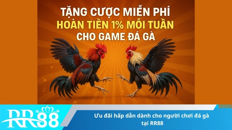 Ưu đãi hấp dẫn dành cho người chơi đá gà tại RR88