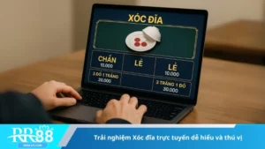 Trải nghiệm Xóc đĩa trực tuyến dễ hiểu và thú vị