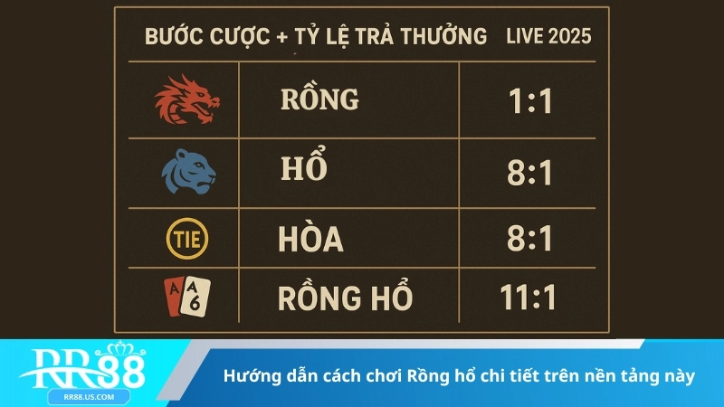 Hướng dẫn cách chơi Rồng hổ chi tiết trên nền tảng này