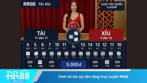 Chơi tài xỉu tại nền tảng trực tuyến RR88