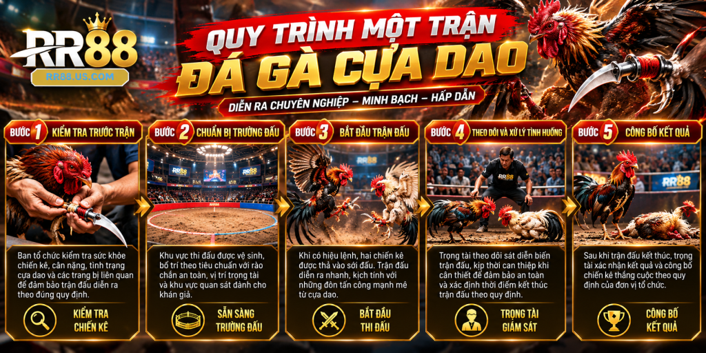 Quy Trình Một Trận Đá Gà Cựa Dao
