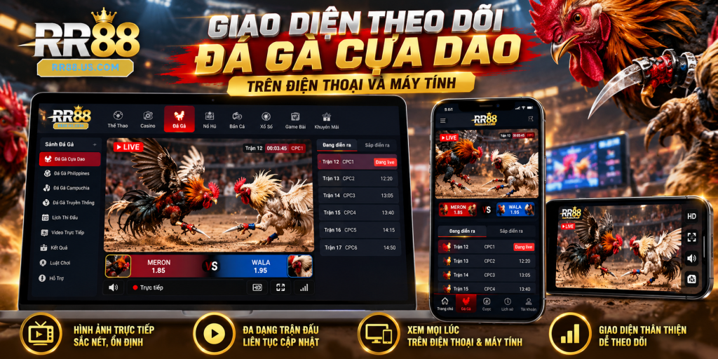 Giao Diện Theo Dõi Đá Gà Cựa Dao Trên Điện Thoại Và Máy Tính