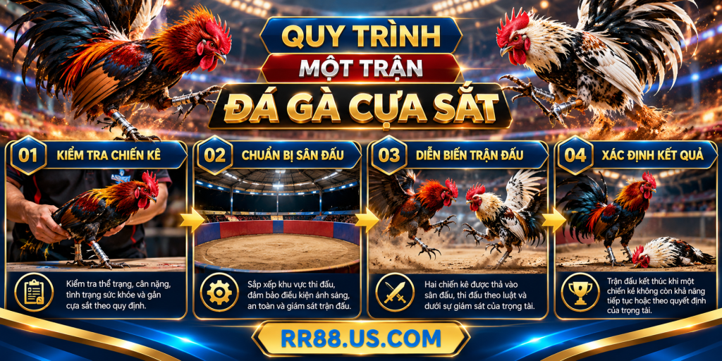 Quy Trình Một Trận Đá Gà Cựa Sắt