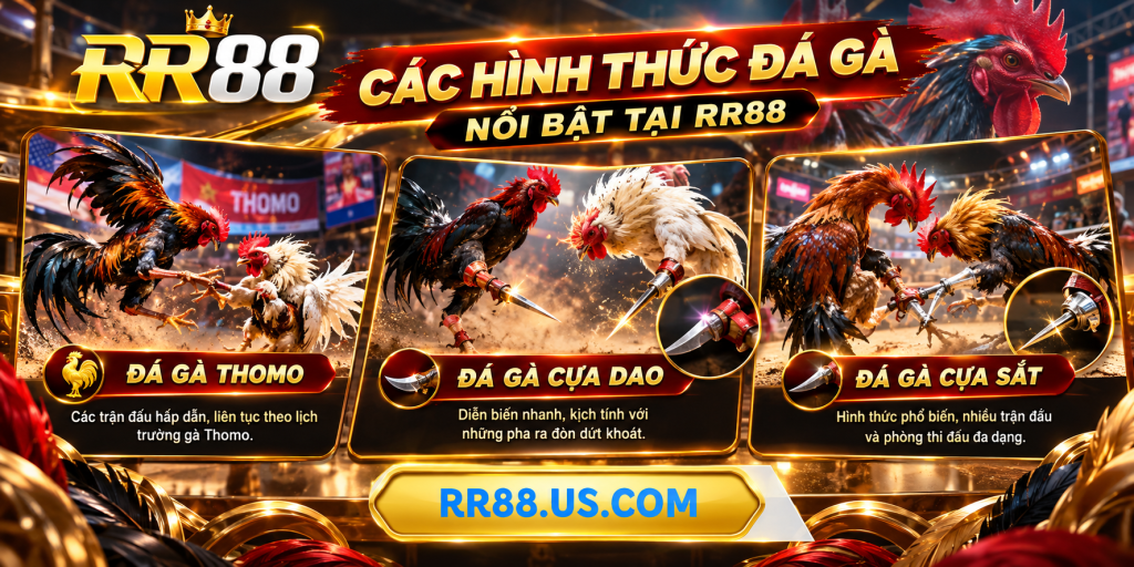 Các hình thức Đá Gà nổi bật tại RR88