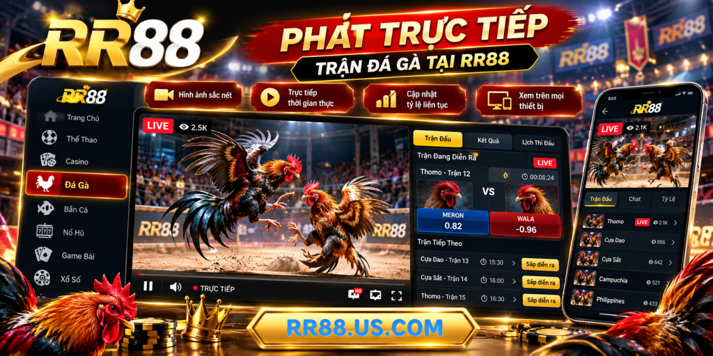 Phát trực tiếp và theo dõi trận Đá Gà RR88