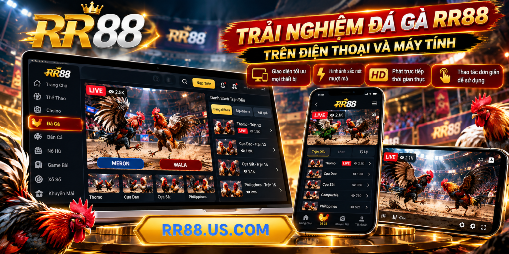 Trải nghiệm Đá Gà RR88 trên điện thoại và máy tính