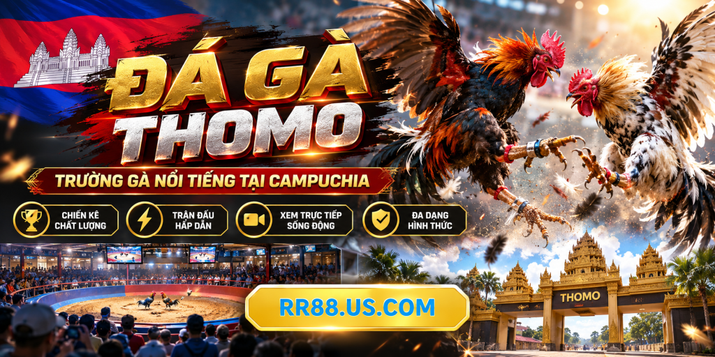 Tổng quan trường đấu và Đá Gà Thomo